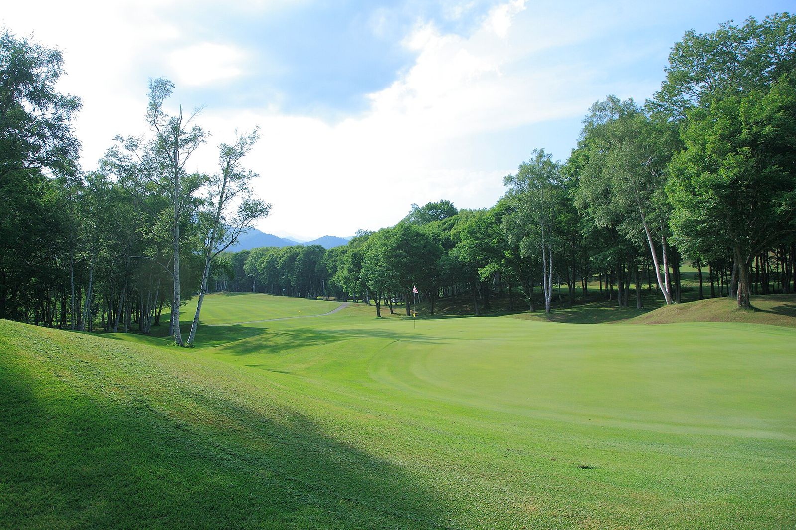 Tokyo Golf Day — Championship Course