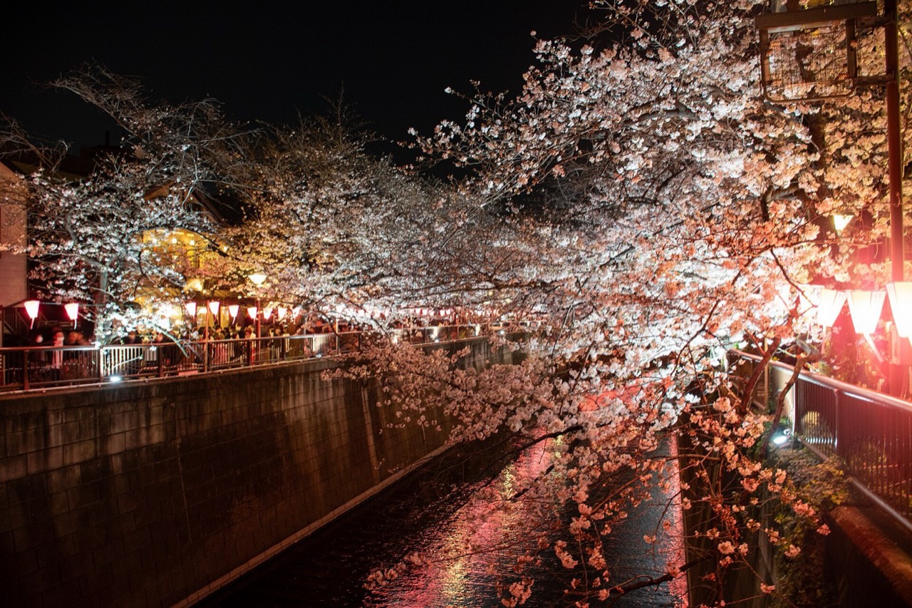 Meguro River