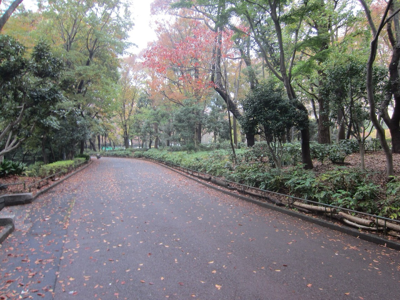 Shinjuku Central Park