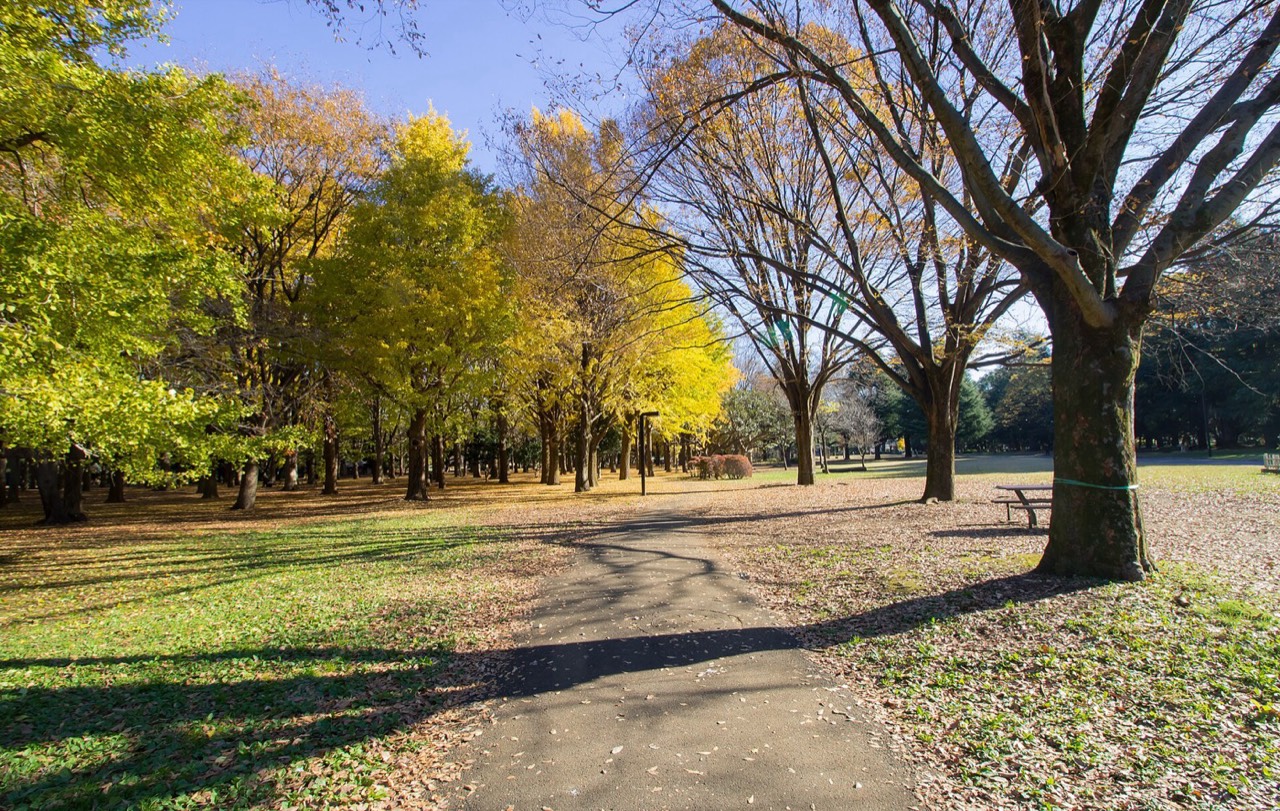 Yoyogi Park