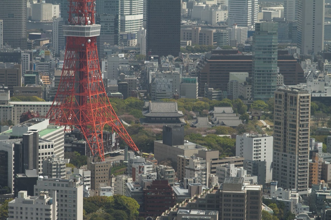 Zojoji Temple